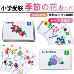 Raco様 リクエスト 2点 まとめ商品