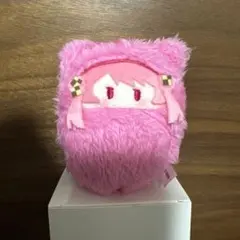 カラフルピーチ　くるみたぴぬい　のあさん　からピチ