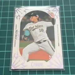 Item thumbnail for item 2d06db5e-c377-4eaa-821a-b1c4facf6ee8