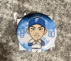 北海道日本ハムファイターズ ガチャ 達孝太 缶バッジ 16 - メルカリ