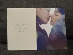 First Love 初恋ブックレット 非売品　佐藤健