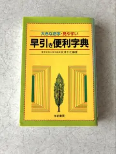 早引き便利字典　大きな活字・見やすい