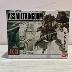 2026年最新】アサルトキングダムの人気アイテム - メルカリ