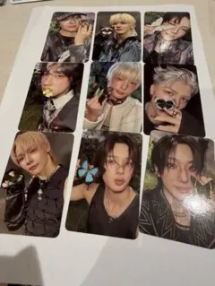 &TEAM back to life ソロ トレカ　蝶々