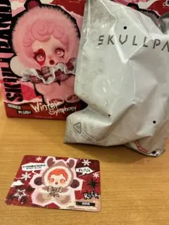 SKULLPANDA Winter Symphony Wanderer's