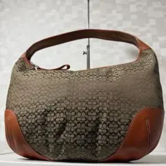 COACH Y2K Signature Zoe Hobo Bag 6070 - メルカリ