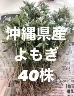 ちくわ※プロフ必読様 リクエスト 2点 まとめ商品