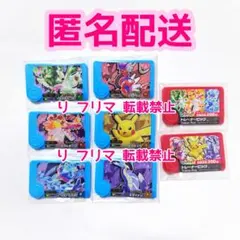 ポケモンフレンダ ピック トレーナーピック スペシャル 8点セット