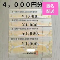 匿名配送★ビックカメラ株主優待 お買物優待券 4,000円分のサムネイル