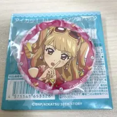 夏樹みくる　缶バッジ　30点 71gi-o4FjxL._UF350,350_QL50_.jpg