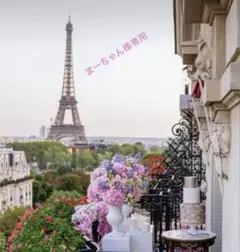 ♡まーちゃん様専用です