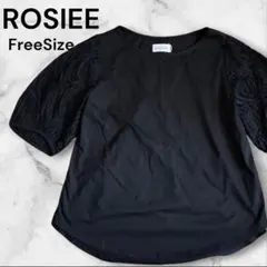 ROSIEE ロージー 異素材切り替え レース シアー袖 Tシャツ カットソーのサムネイル