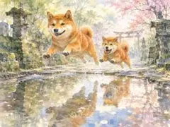 桜舞う参道を駆ける2匹の柴犬のデジタルイラスト c20