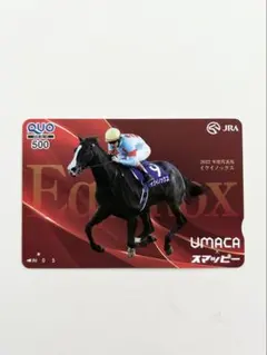 JRA競馬 イクイノックス 2022年有馬記念優勝馬 QUOカード （使用済み
