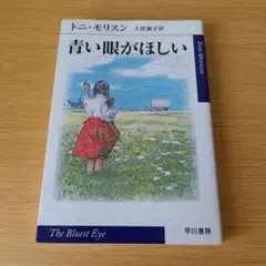 k-132 青い眼がほしい 書き込みあり 文庫 小説