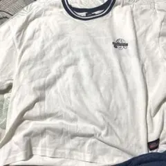 Dickies Tシャツ ホワイトのサムネイル
