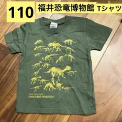 Item thumbnail for item 77cadec5-a7d0-49e2-beb7-8bbff34e955d