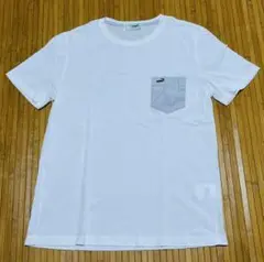 Crocodile ホワイト Tシャツ Lサイズ