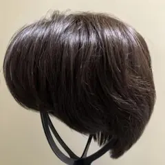 スベンソン医療用ウィッグ人毛　メンズ・レディース&フレッシュヴェール スベンソン医療用ウィッグ人毛 メンズ・レディース&フレッシュ