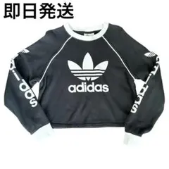 adidas クロップド スウェット