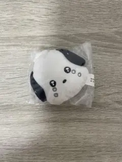 チェゴシム　サンリオキャラクターズフェイスマスコット　ポチャッコ