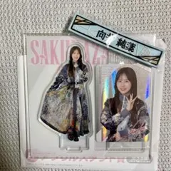 櫻坂46 向井純葉　ローソンくじアクリルスタンド・ウエハースレア・ケーブルセット