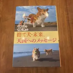 捨て犬・未来、天国へのメッセージ 今西乃子 浜田一男のサムネイル
