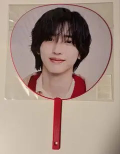 なにわ男子 道枝駿佑 1st DOME LIVE 'VoyAGE' 団扇