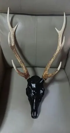 2025年最新】鹿 標本の人気アイテム - メルカリ
