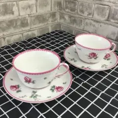 RICHARD GINORI リチャードジノリ　アンティックローズ　2客