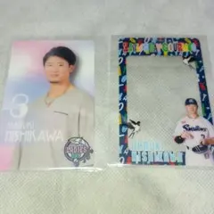 Item thumbnail for item 9db72408-c38d-4a49-acab-285af2249869