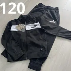 プーマ　上下ジャージ