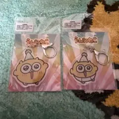 うんたねこ POP UP 大阪 なんば 7周年誕生祭限定 アクリルキーホルダー