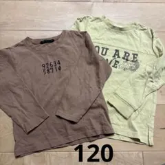 SLAPSLIP黄緑 数字ブラウン 長袖Tシャツ120