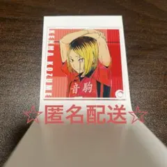 ハイキュー!トレーディングAni-Art第7弾アクリルスタンドパネル 孤爪研磨