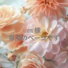 m 様　専用のページです☆