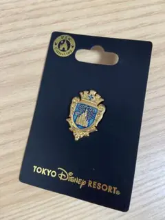 新品 ディズニーランド シンデレラ城 ピンバッジ