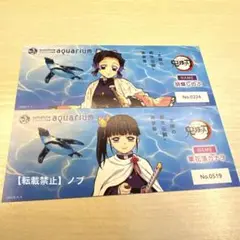鬼滅の刃　サンシャインシティ　チケット風カード　水族館限定