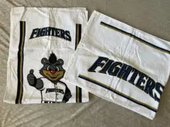 Item thumbnail for item 9fc8e57e-bd8a-4cb2-9437-3c722197f01a