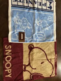 Item thumbnail for item 396200a9-d896-47d2-bce2-8fa22c5fe8a1