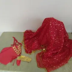 F-169　ベリーダンス　ベールとトルバ　赤系　トルコ