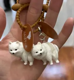 ふんばりーぬ
