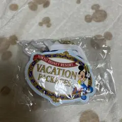 東京ディズニーリゾートバケーションパッケージパスケース