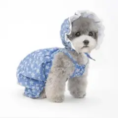 大人気　犬服　犬用サロペット ロンパース　花柄　青L