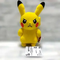 ポケモン いろんなおかお ぬいぐるみ ピカチュウ　30th　ポケットモンスター