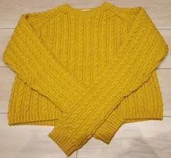 Item thumbnail for item 6e19f88f-116d-4634-9a1d-ab9ef5a50707