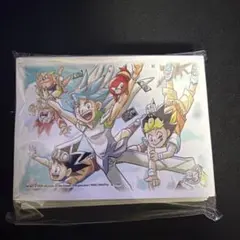 デュエルマスターズ 25周年ツアー限定カードスリーブ 勝舞編ver 