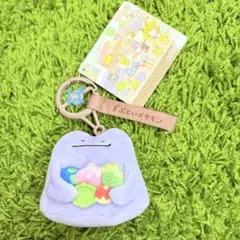 ラスト］十ポケ十色 さみしがり ずぶとい メタモン 2体セット ポケモン
