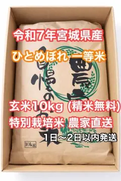 新生活応援令和7年産宮城県ひとめぼれ玄米10kg 精米無料 特別栽培米 一等米のサムネイル