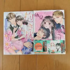 飴色パラドックス 夏目イサク 1巻 2巻 特典ペーパー セット - メルカリ